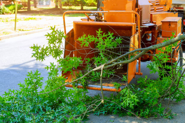 Soil Testing and Treatment in Corinth, TX